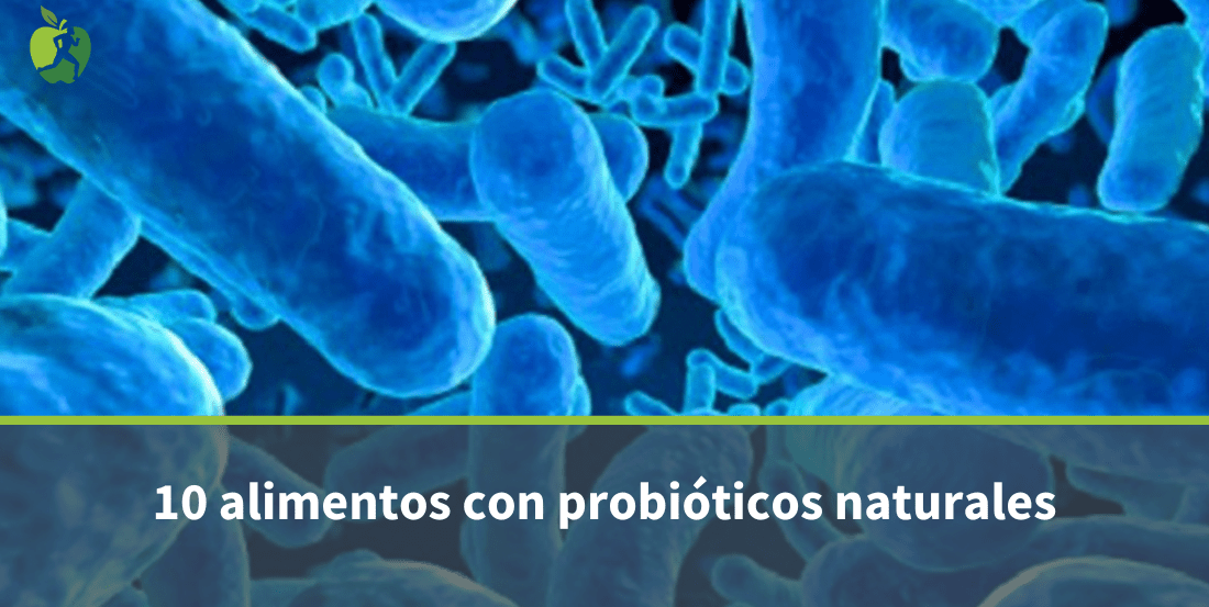 10 Alimentos con Probióticos Naturales para una Salud Digestiva Óptima