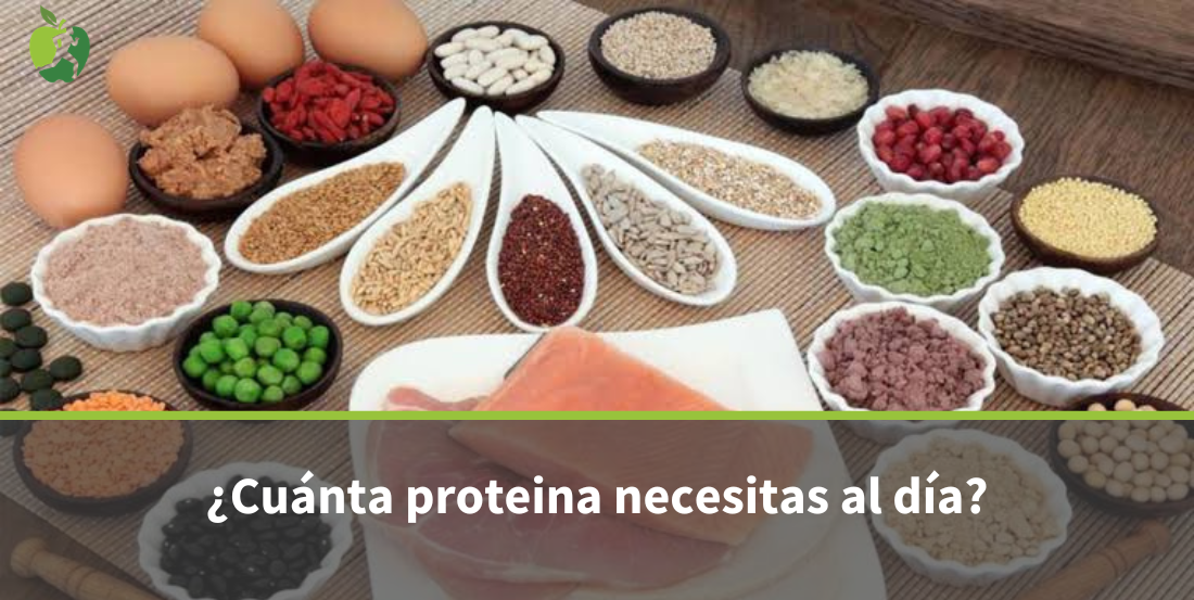 ¿Cuánta proteína necesitas al día para ganar masa muscular?