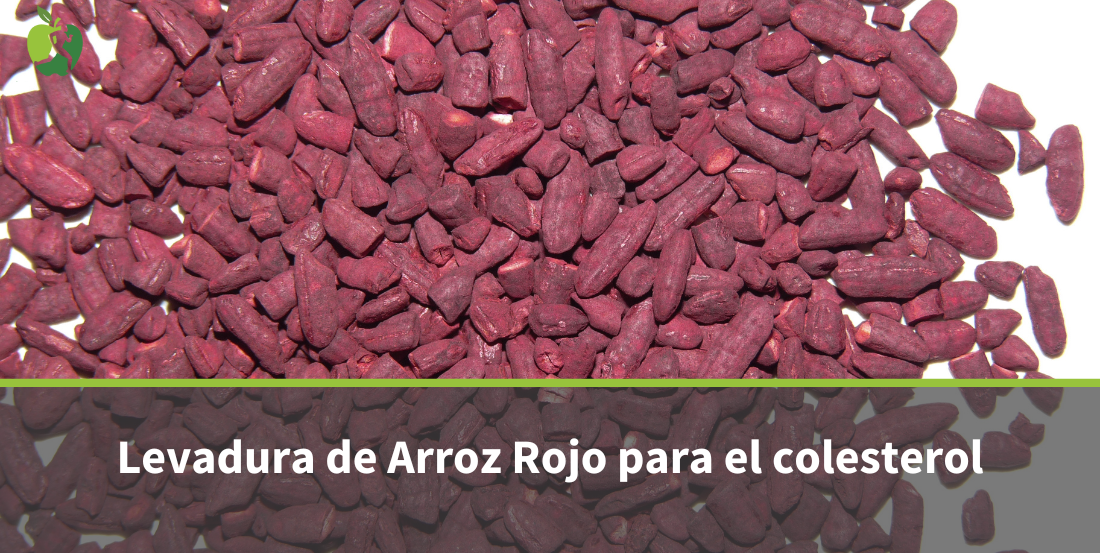 Levadura de Arroz Rojo: qué es, beneficios y para qué sirve