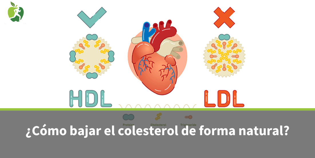 ¿Cómo bajar el colesterol de forma natural?