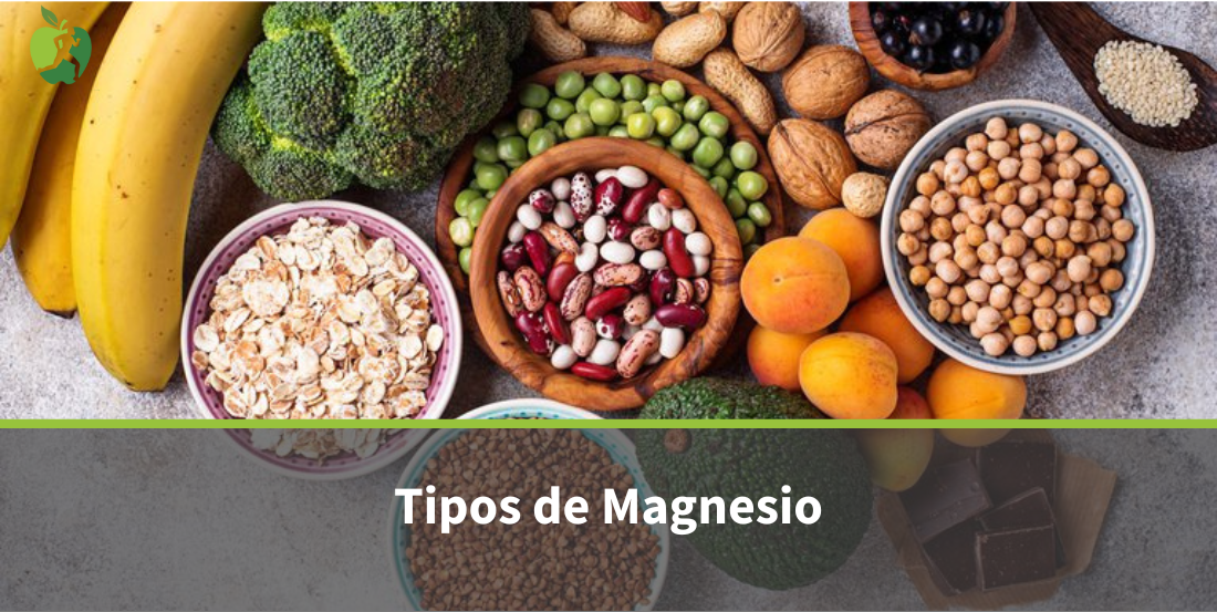Tipos de Magnesio: ¿Cuál es el Mejor para Ti?