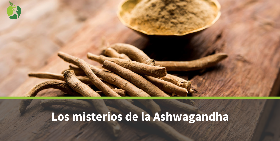 Beneficios de la Ashwagandha: todo lo que debes saber