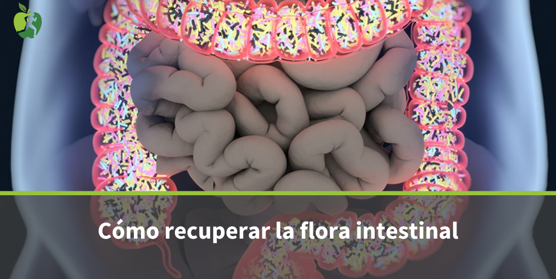 Flora Intestinal: qué es, cómo funciona y cómo recuperarla si está dañada