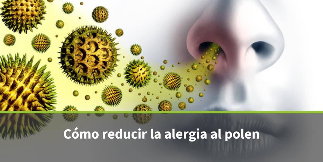 Alergia al polen: síntomas, causas, tratamiento y cómo aliviarla de forma efectiva