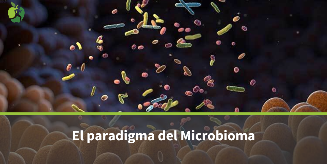 Probióticos y Lactobacillus acidophilus: El Paradigma del Microbioma
