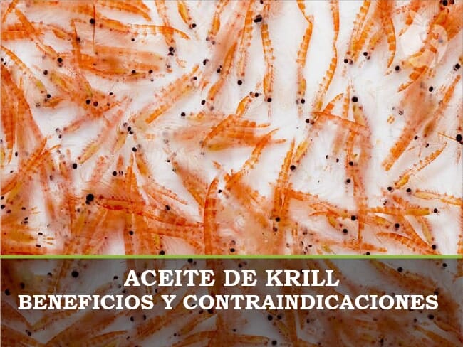 Aceite de Krill Beneficios y contraindicaciones - Dietetica Ferrer