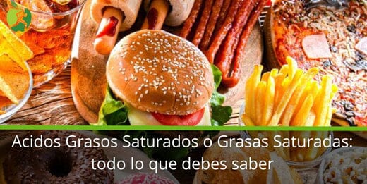 Acidos Grasos Saturados o Grasas Saturadas: todo lo que debes saber