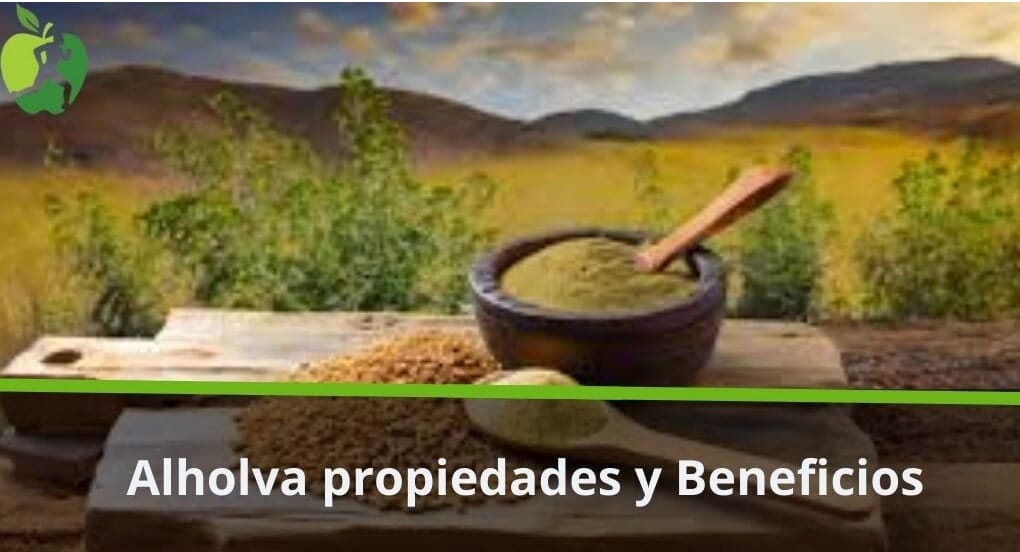 Alholva propiedades y Beneficios
