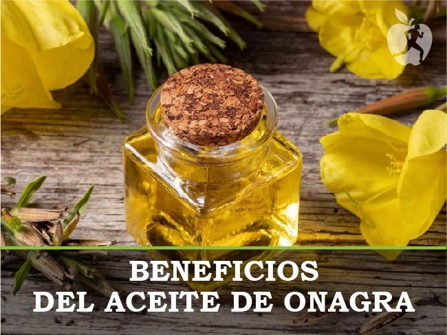 Beneficios del Aceite de Onagra