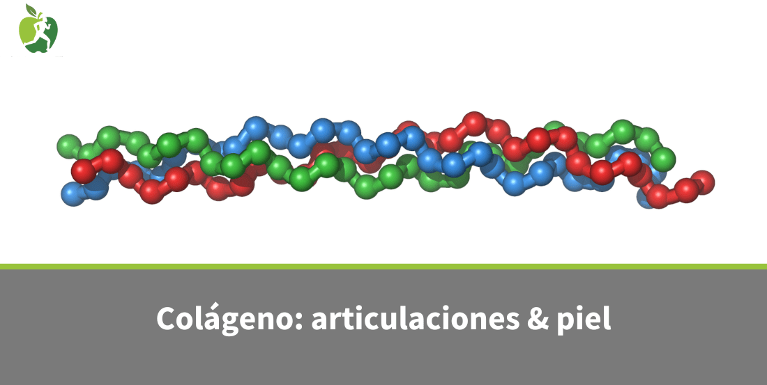 Colágeno: beneficios para las articulaciones y piel