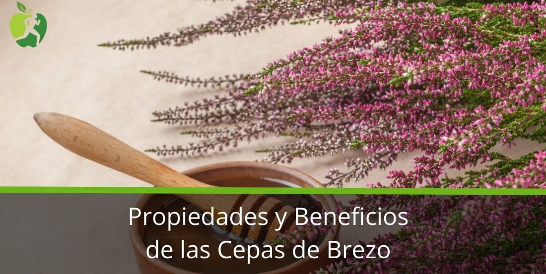 El Brezo Planta: Para que Sirve, Propiedades y Beneficios