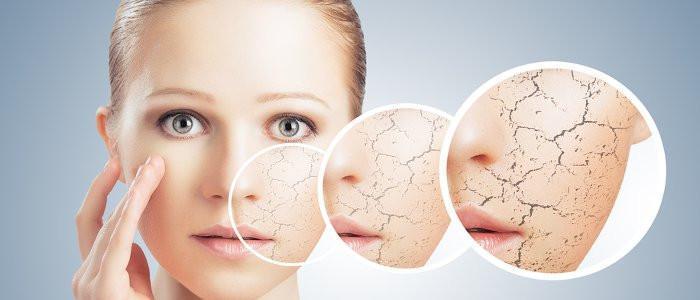 Colageno - Dietetica Ferrer