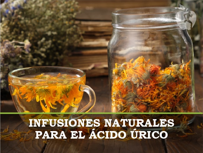 Infusiones naturales para bajar el ácido úrico