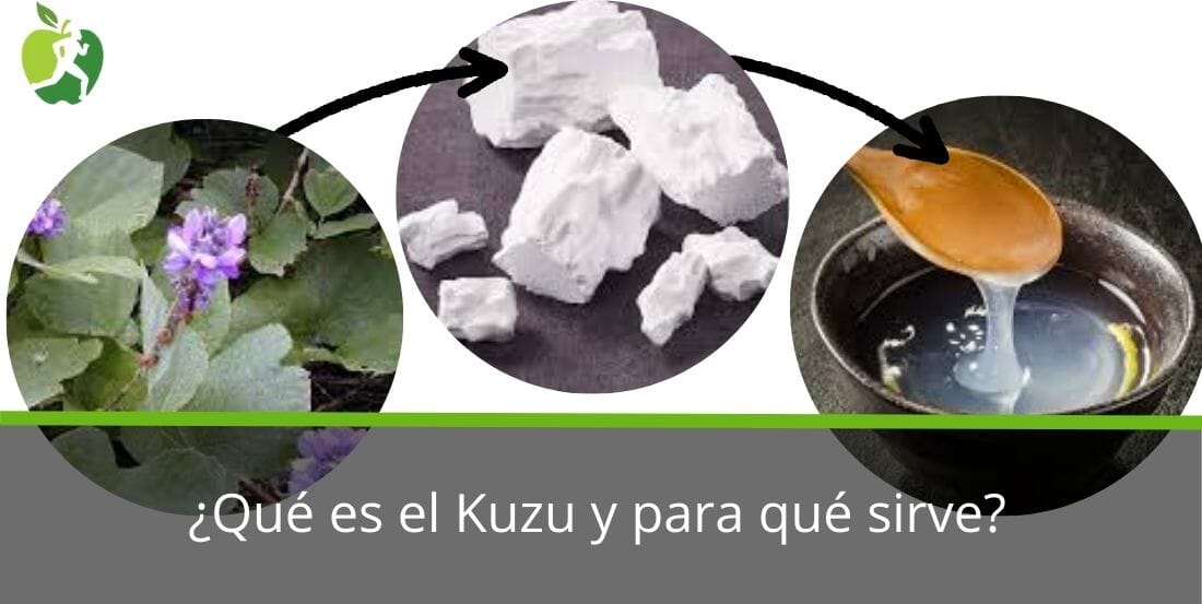 Kuzu: Beneficios, Propiedades y Usos Medicinales