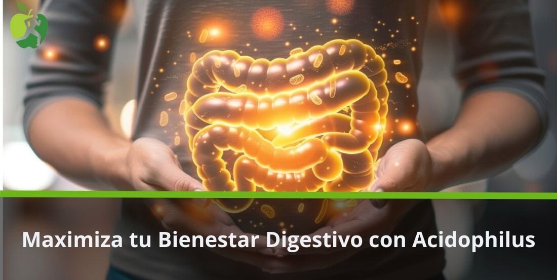 Maximiza tu Bienestar Digestivo con Acidophilus