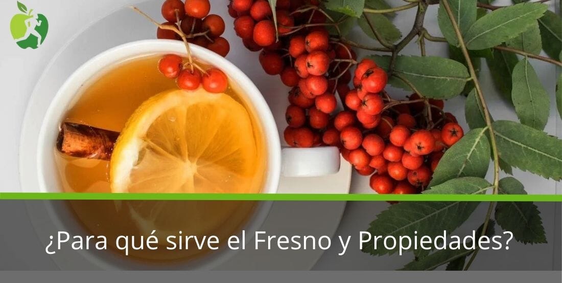 Fresno: qué es, para qué sirve y propiedades