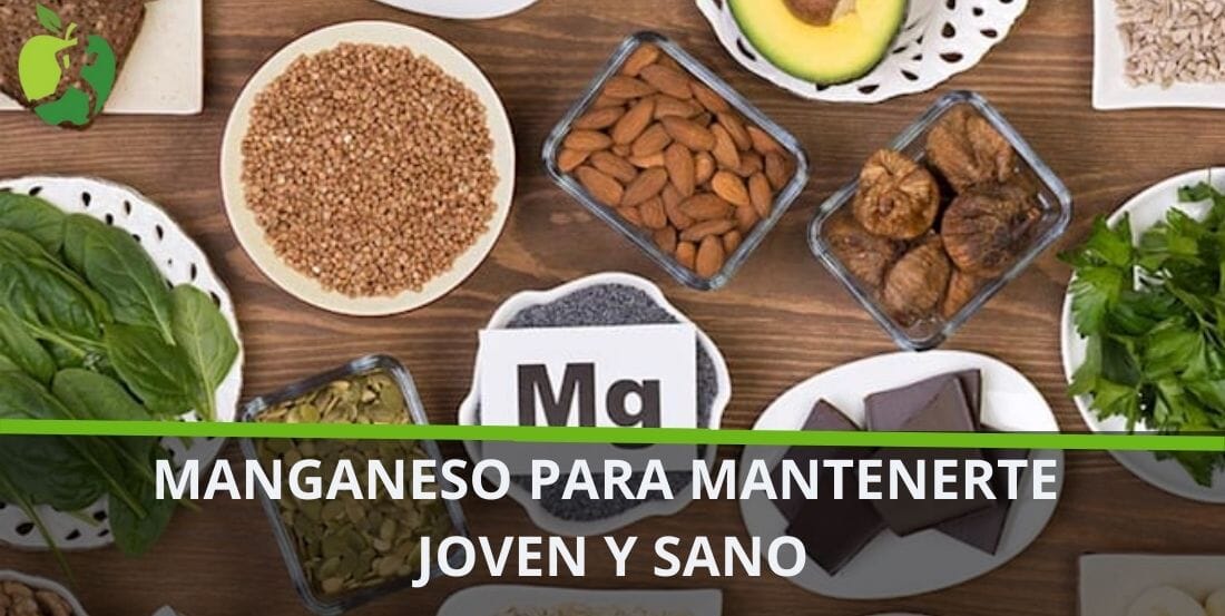 ¿Para qué sirve el Manganeso?