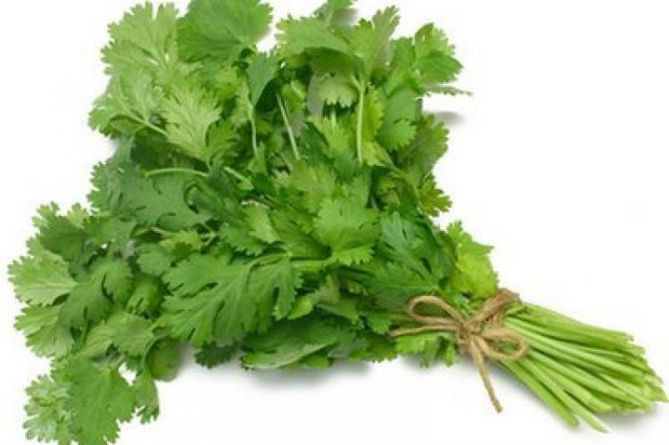 ¿Para qué sirve el Perejil? ¿Cuáles son los beneficios del Perejil?