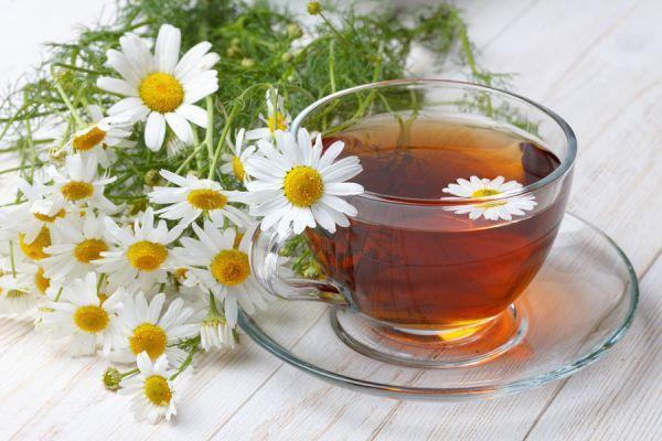 ¿Para qué sirve la Manzanilla? Descubre sus beneficios