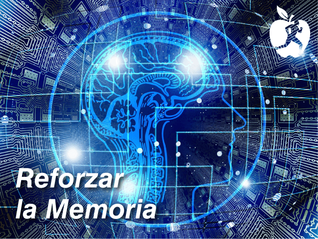 Productos naturales para la memoria