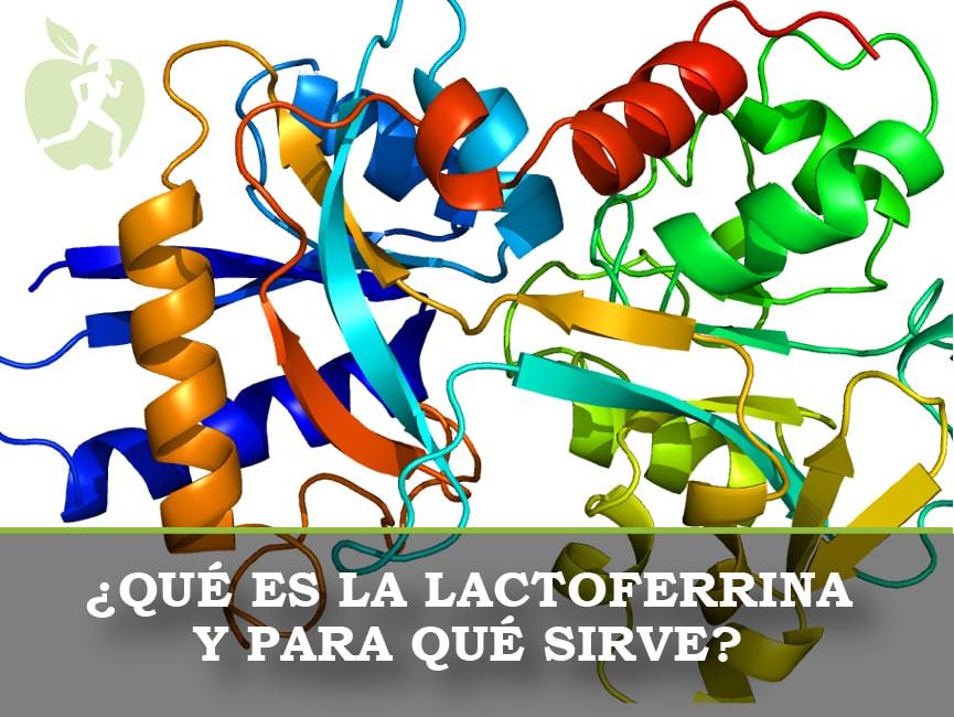 Propiedades de la lactoferrina
