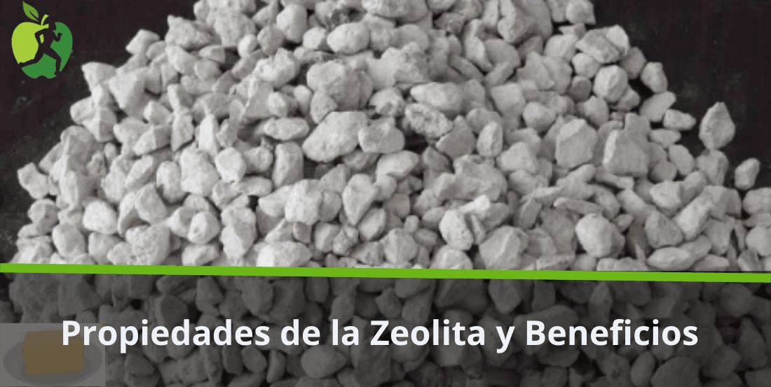 Propiedades de la Zeolita y Beneficios