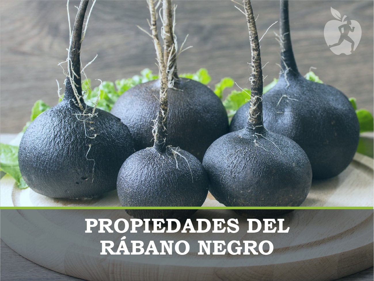 Propiedades del rábano negro