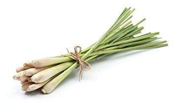 Propiedades y Beneficios de la Citronela o Lemongrass