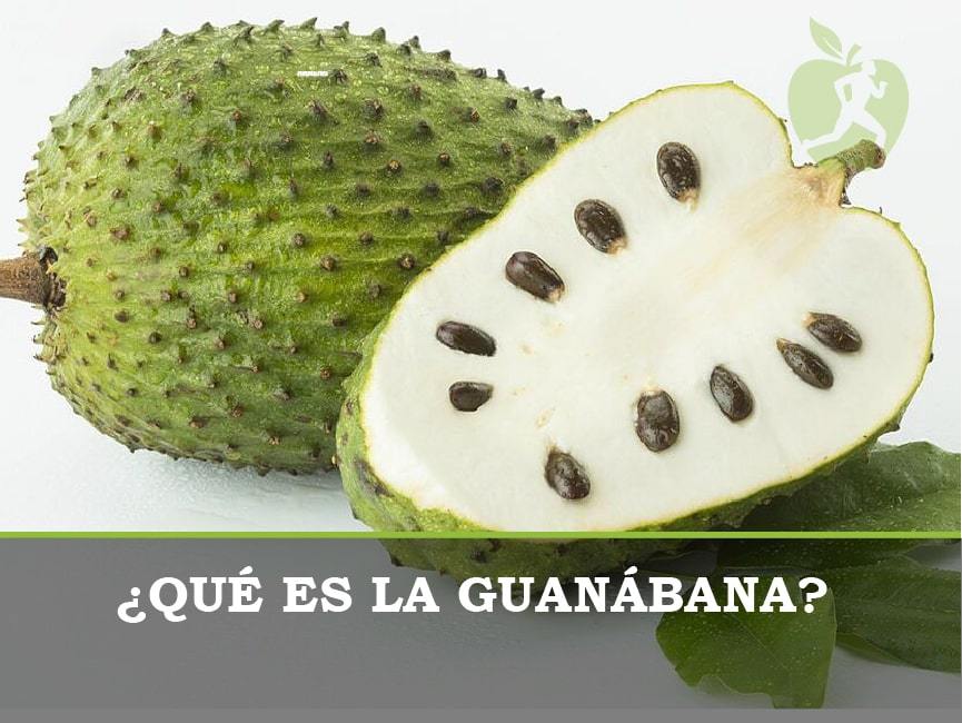 ¿Qué es la guanábana y cuáles son sus propiedades?