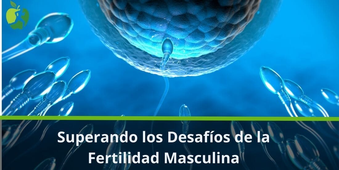 Superando los Desafíos de la Fertilidad Masculina