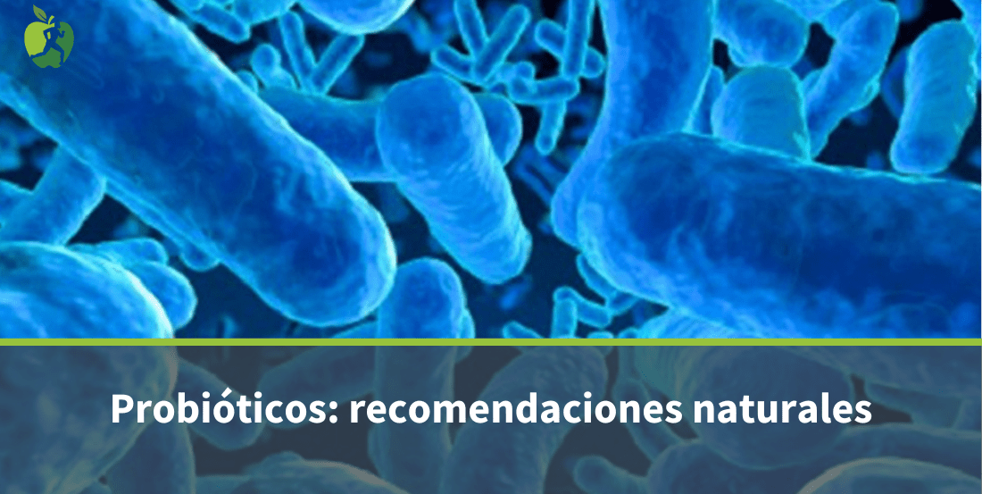 Todo sobre los Probióticos