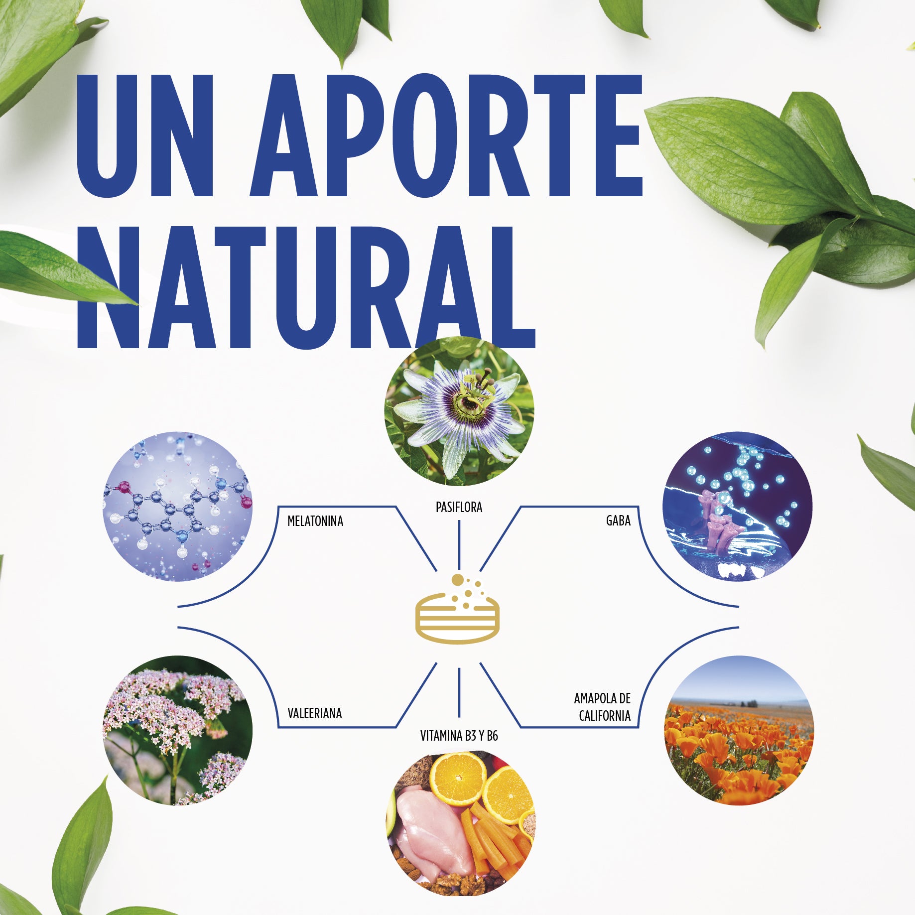 Buenas Noches Comprimidos | Eladiet - Dietetica Ferrer