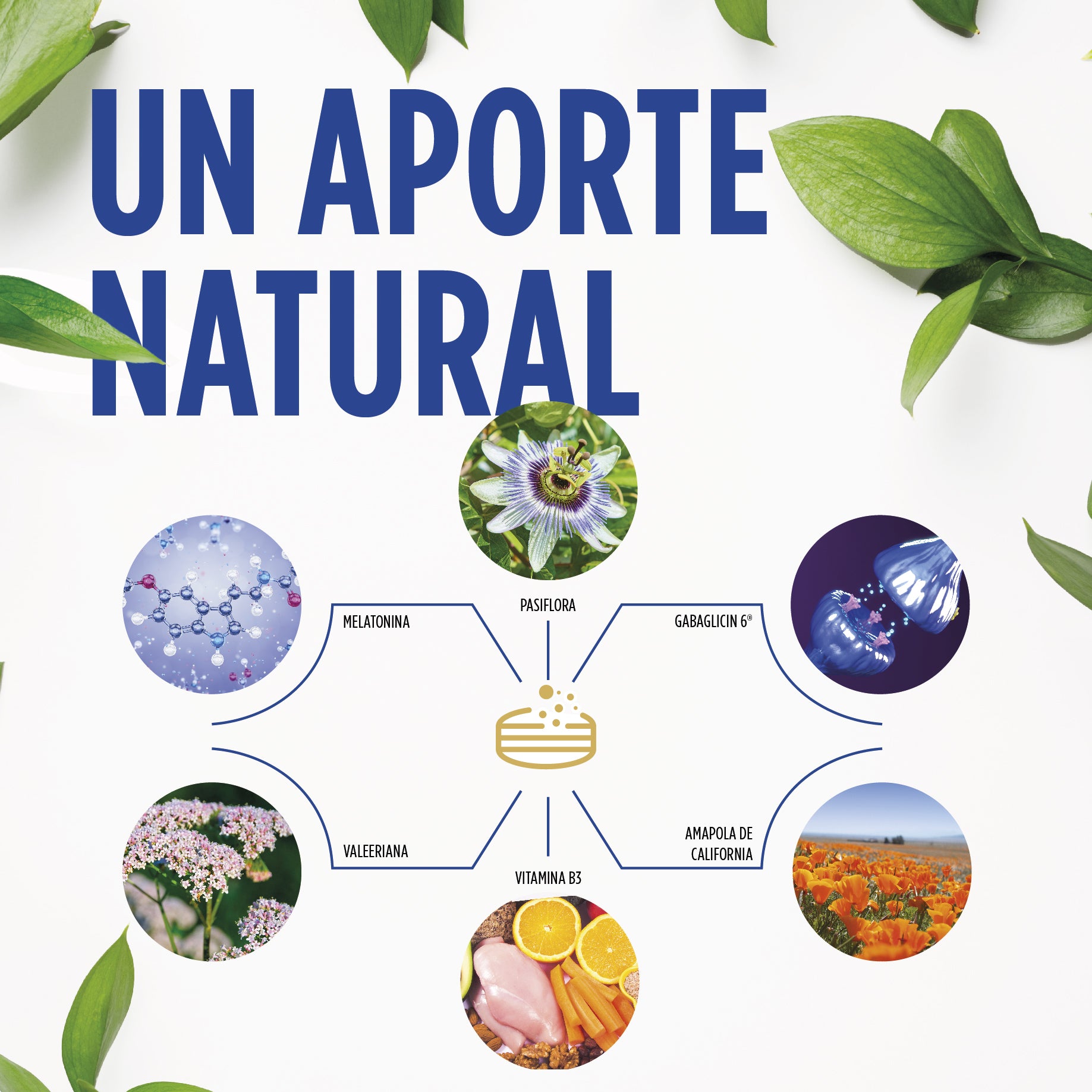 Buenas Noches Total comprimidos | Eladiet - Dietetica Ferrer