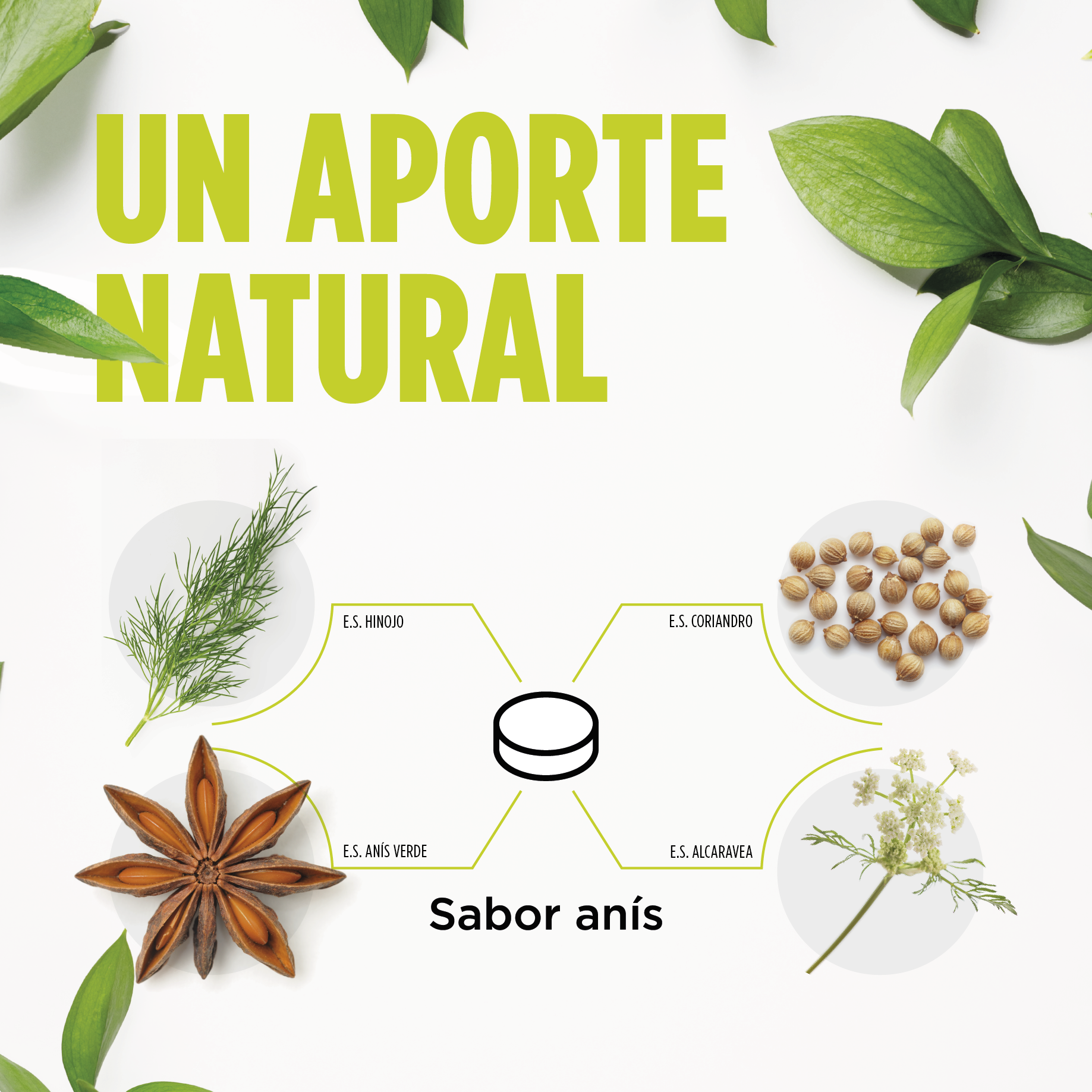 Digest AciFlux Protect 30 Comprimidos | Eladiet - Dietetica Ferrer