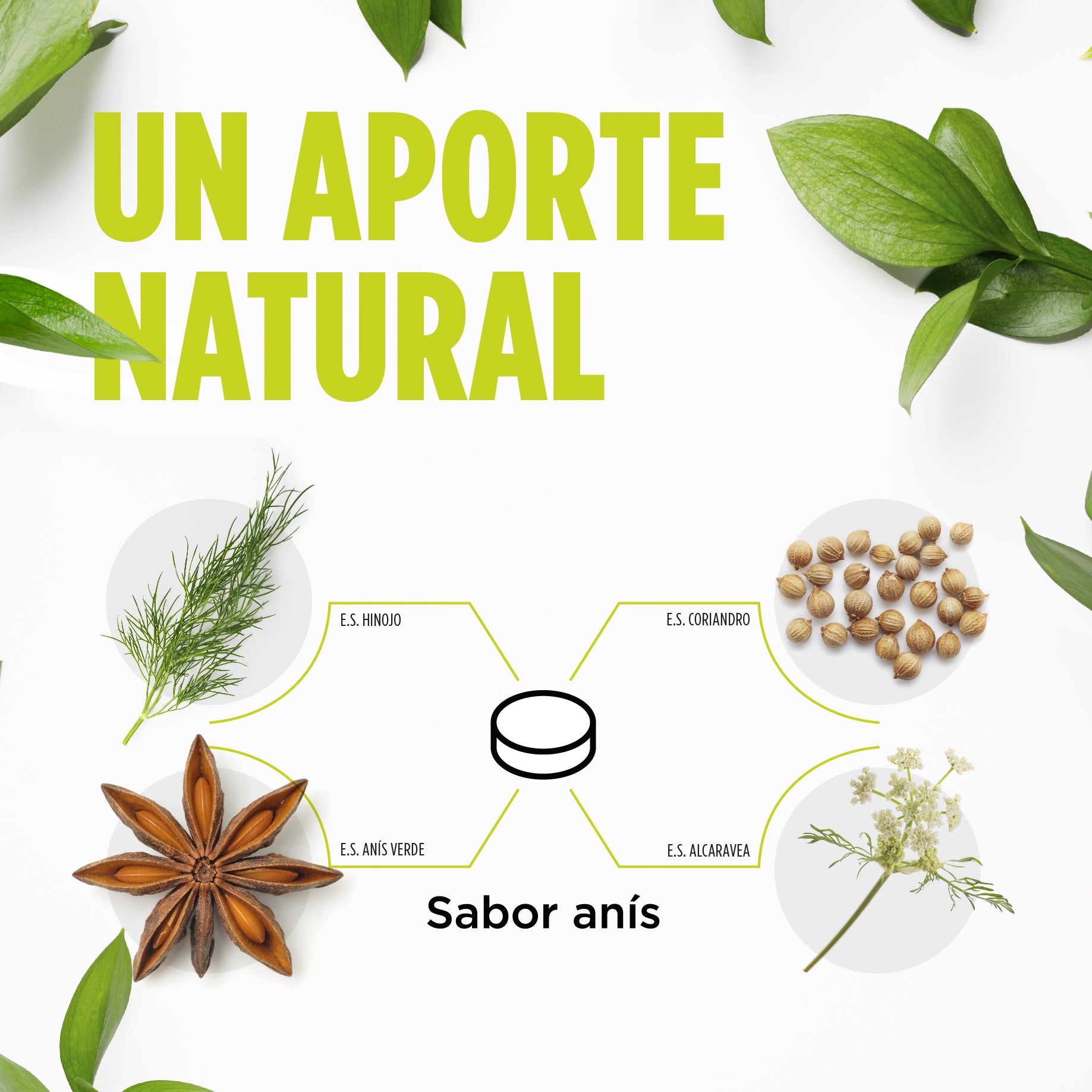 Digest Gases 60 Comprimidos | Eladiet - Dietetica Ferrer