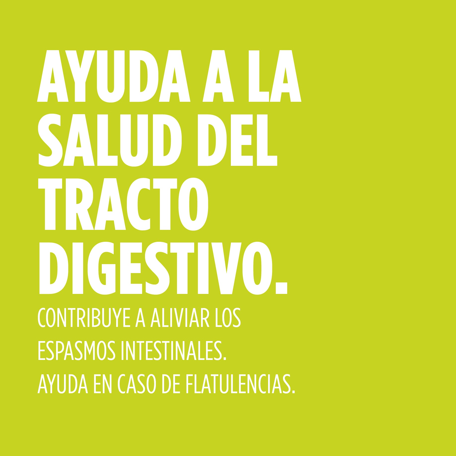 Digest Gases 60 Comprimidos | Eladiet - Dietetica Ferrer