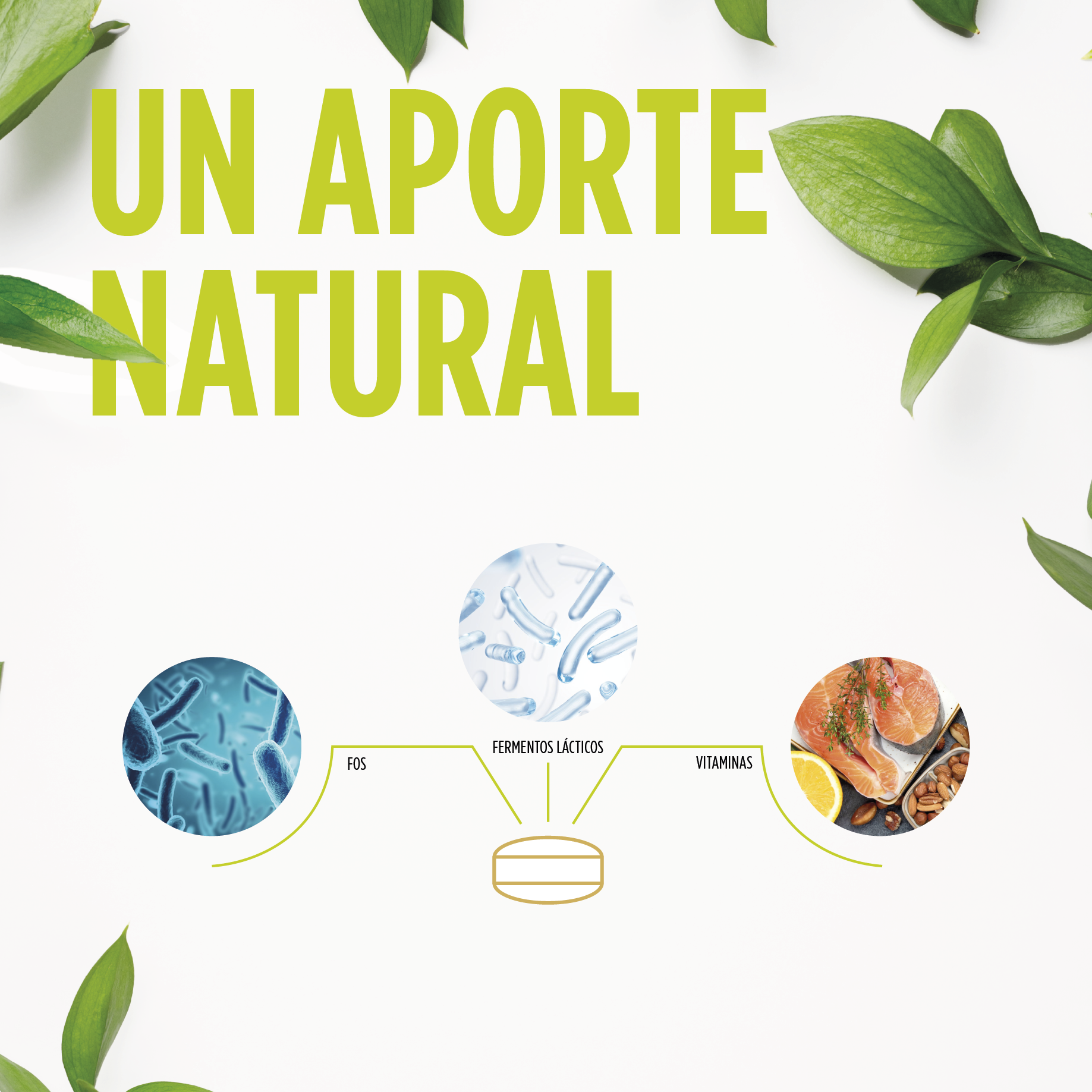 Digest Ultrabiotics 30 Comprimidos | Eladiet - Dietetica Ferrer