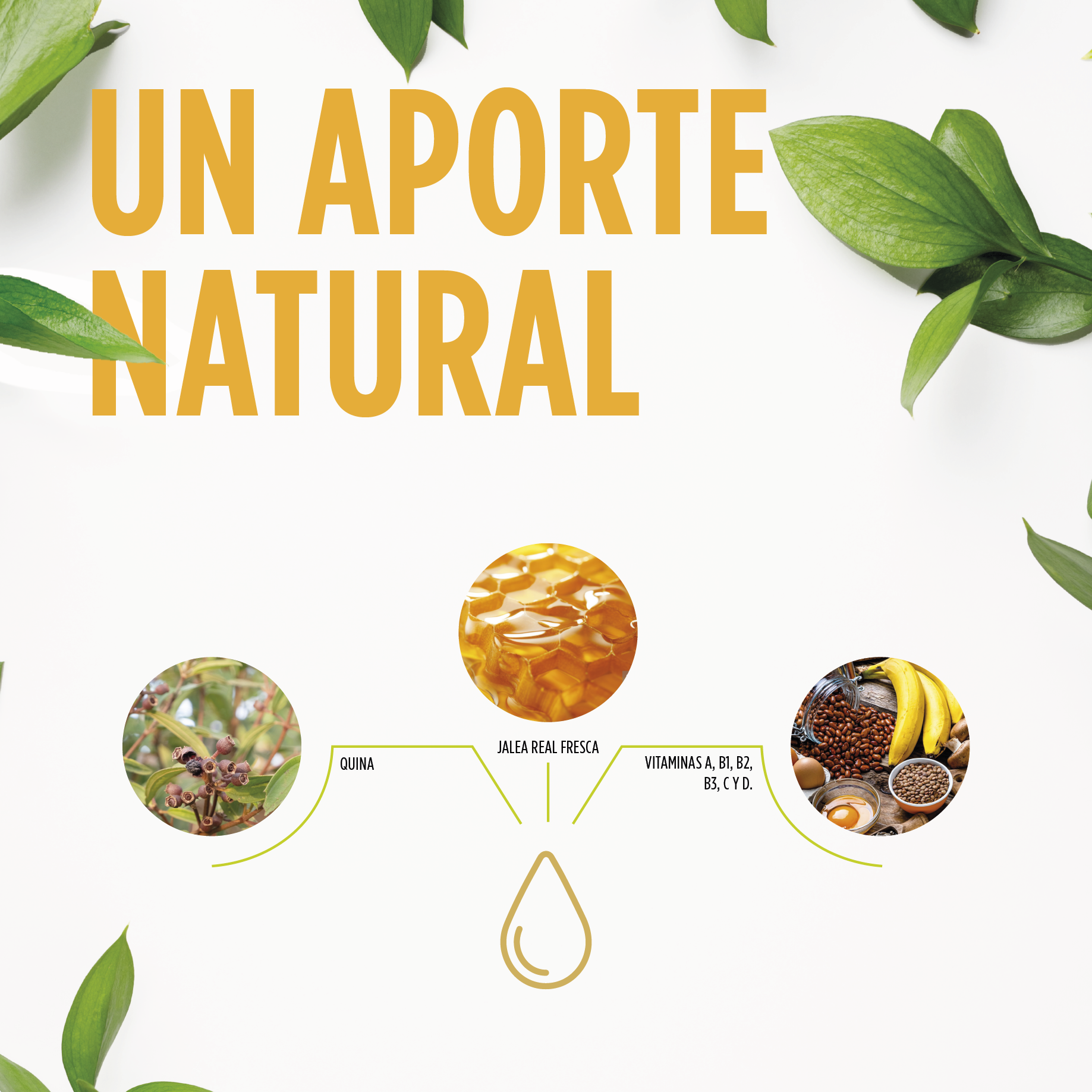 Jelly Kids Apetit Jarabe 250 ml | Eladiet - Dietetica Ferrer