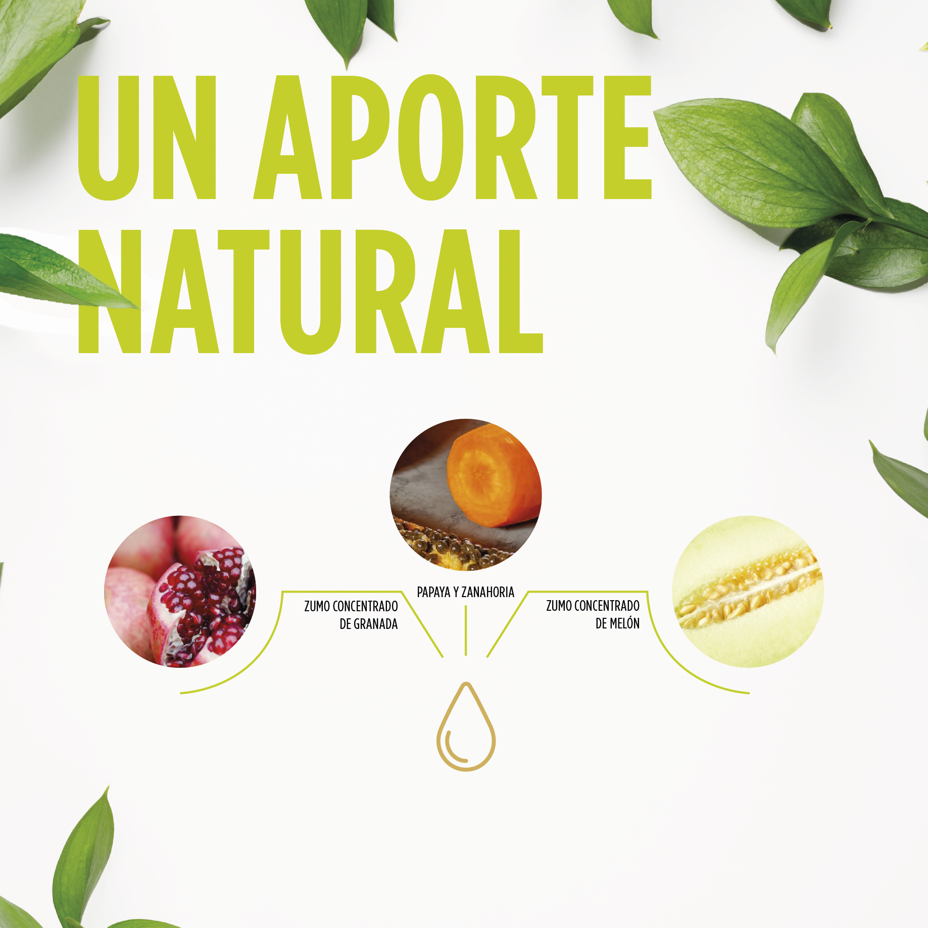 Lombrifin Jarabe 250 ml | Eladiet - Dietetica Ferrer