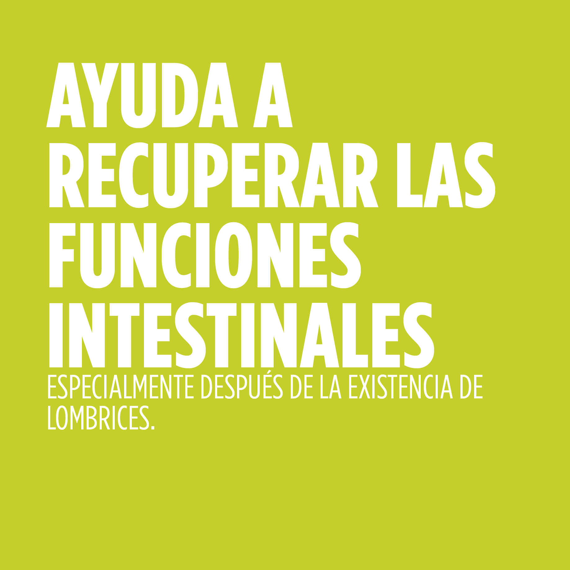 Lombrifin Jarabe 250 ml | Eladiet - Dietetica Ferrer