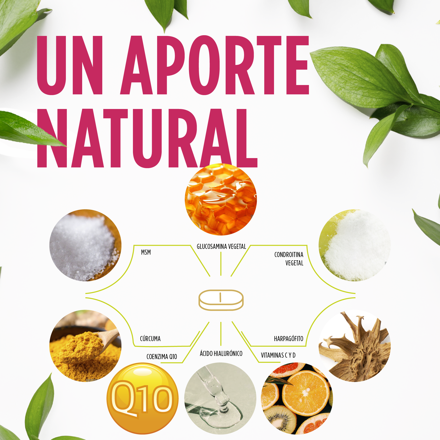 RegenDol 30 Comprimidos | Eladiet - Dietetica Ferrer