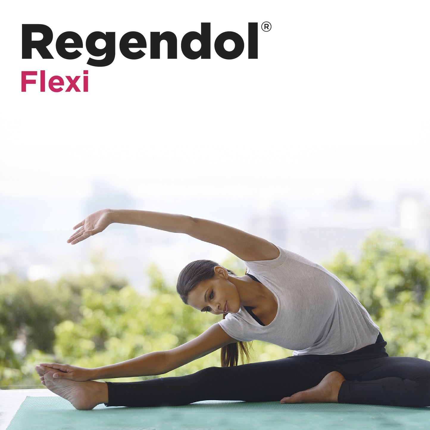 Regendol Flexi 14 Sticks | Eladiet - Dietetica Ferrer