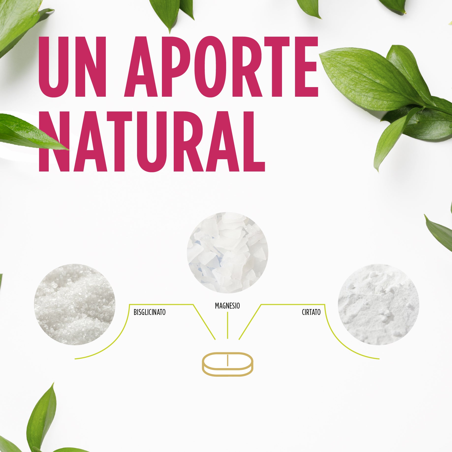 Regendol Magnesio 40 Comprimidos | Eladiet - Dietetica Ferrer