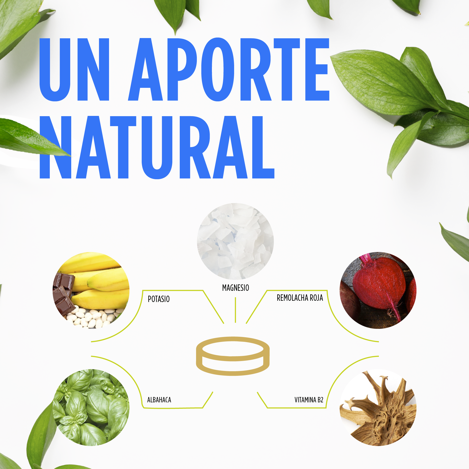 Vit&Min Magnesio Potasio 14 Comprimidos | Eladiet - Dietetica Ferrer