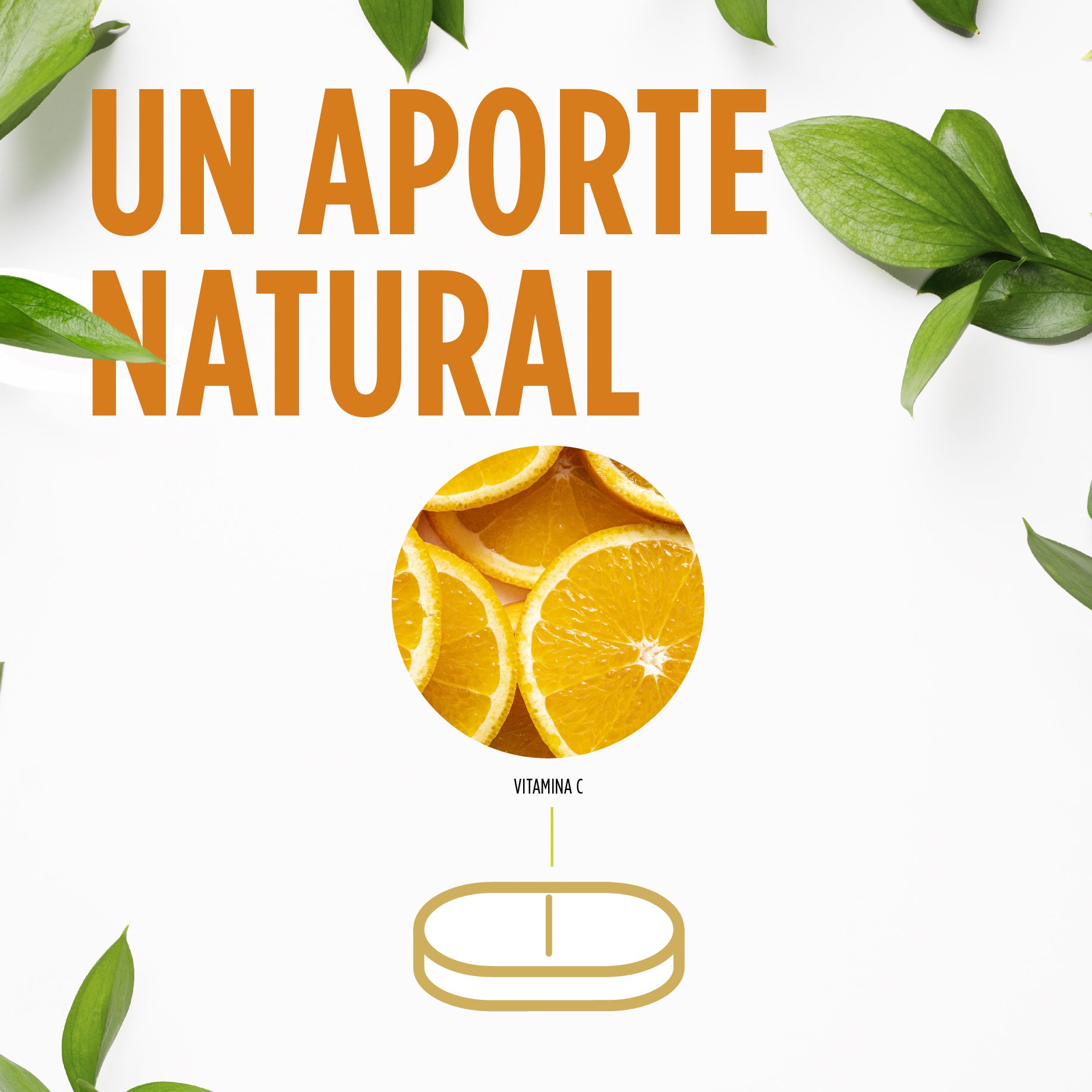 Triple C 40 Comprimidos | Eladiet - Dietetica Ferrer