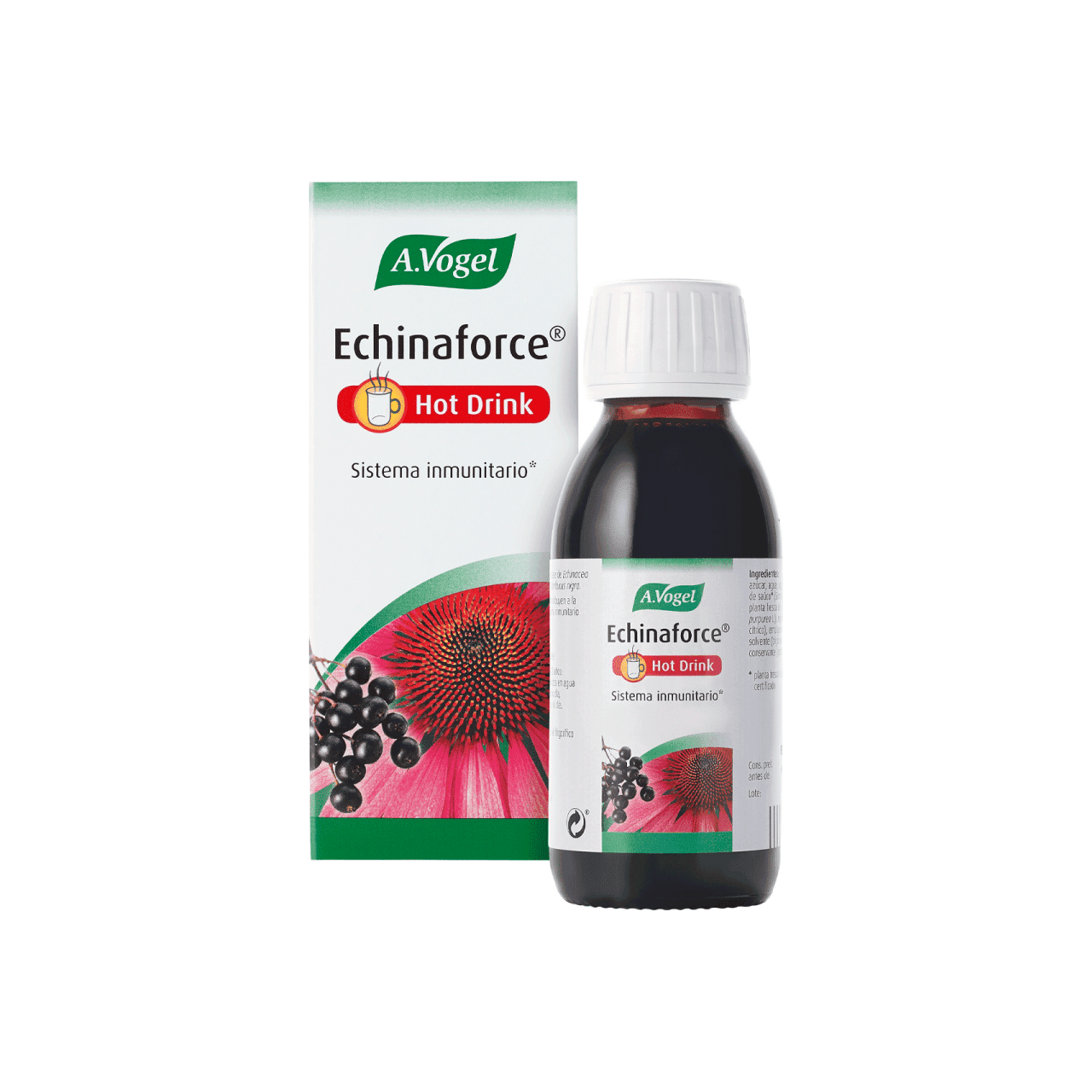 Echinaforce Hot Drink 100 ml | A Vogel - Dietetica Ferrer