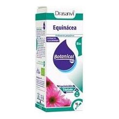 Glicerinado Equinacea Bio 50 ml | Drasanvi - Dietetica Ferrer