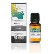 Aceite Esencial de Ravintsara Bio | Terpenic Labs - Dietetica Ferrer