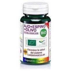 Ajo Espino y Olivo Bio 600 mg 60 Capsulas | Robis - Dietetica Ferrer