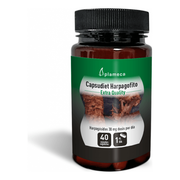Capsudiet Harpagofito 40 Capsulas | Plameca - Dietetica Ferrer